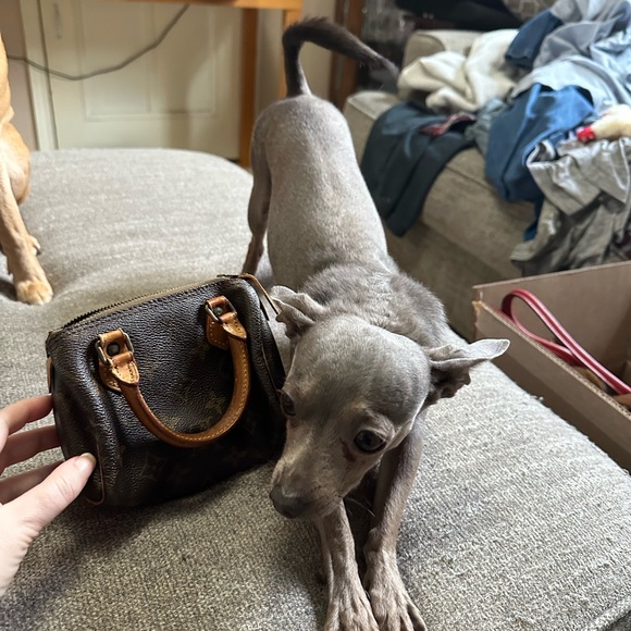 Nano Speedy Louis Vuitton - Picture 3 of 3